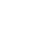 Reset app icon